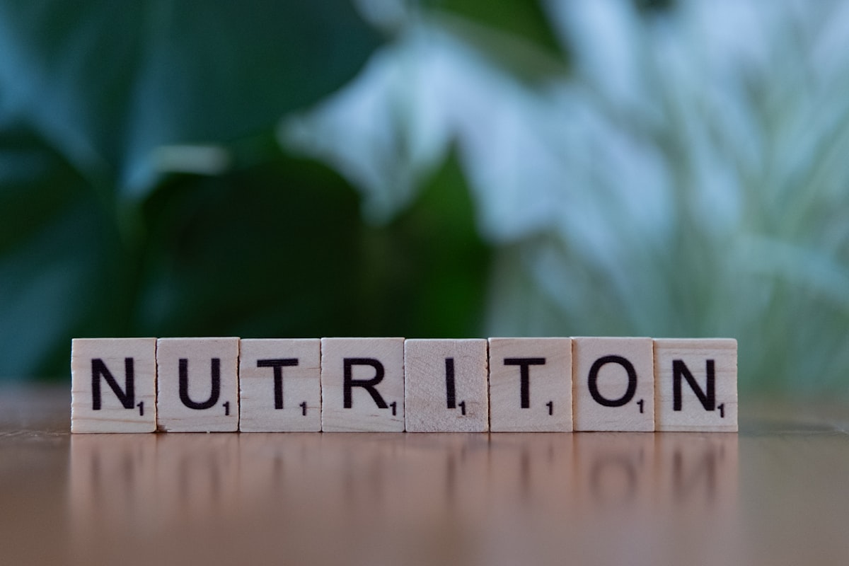 Nutrition consultation session with expert advisor